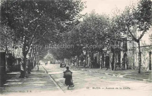 AK / Ansichtskarte Blida Blidah Algerie Avenue-de-la-Chiffa Allee Baeume Passanten Strasse