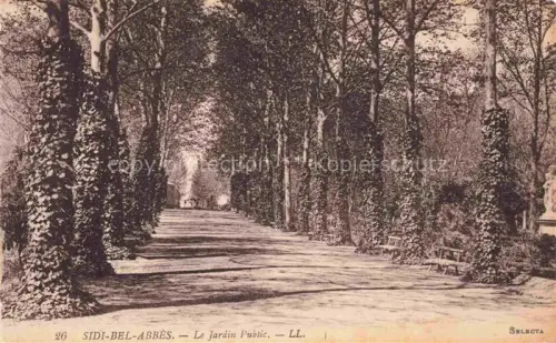 AK / Ansichtskarte Bel Abbes Sidi Bel Abbes Algerie Jardin-Public Allee Baeume Promenade Baenke Efeu