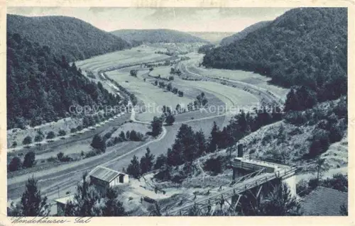 AK / Ansichtskarte Treffurt Werra Wendehaeuser-Tal Werra Tal Wiesen Wald Bruecke Panorama Hotel-zum-Stern