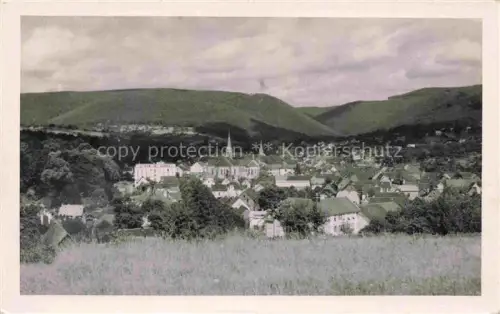 AK / Ansichtskarte Bad Niederbronn Niederbronn-les-Bains 67 Bas-Rhin Stadtpanorama Kirche Huegel Wald Wasenburg Elsass Wiese