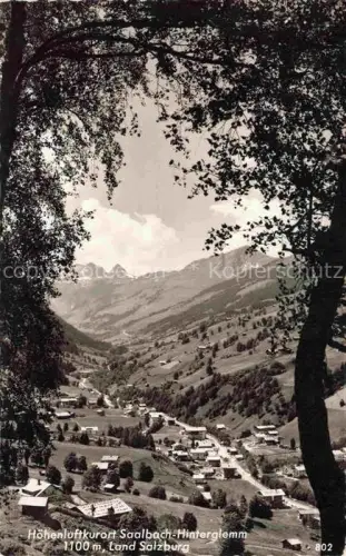 AK / Ansichtskarte Saalbach -Hinterglemm Pinzgau-Pongau AT Hoehenluftkurort Saalbach-Hinterglemm Bergtal Alpen Sommerwiesen Bergdorf Wald