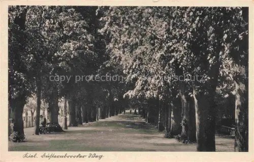 AK / Ansichtskarte KIEL  CITY Duesternbrooker-Weg Allee Kastanienbaeume Promenade Passanten Baenke