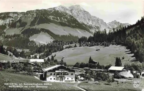 AK / Ansichtskarte Weissbach Lofer Pinzgau Salzburg AT Hintertal Kammerlinghorn Bergbauernhof Alpen Wiesen Wald Bergpanorama