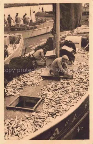 AK / Ansichtskarte Douarnenez QUIMPER 29 Finistere Triage-de-la-Pêche Fischerboote Sardinen Fischer Hafen Netze