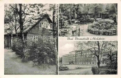 AK / Ansichtskarte Bad Bramstedt Schleswig-Holstein Cafe-Birkengrund Kurhaus Cafégarten Sol-und-Moorbad Holzhaus Park