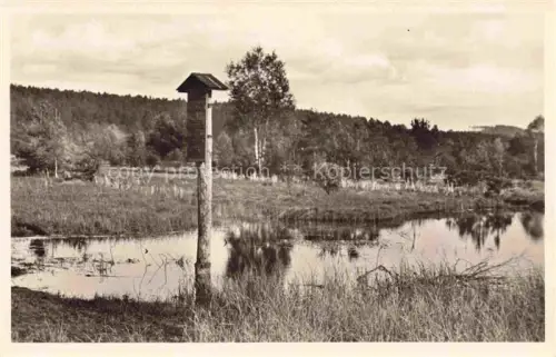AK / Ansichtskarte Schwenningen Baden BW Neckarursprung Schwenninger-Moos Teich Vogelhaus Birken Wald Moor