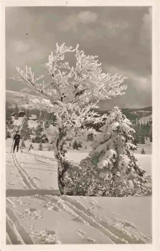AK / Ansichtskarte Feldberg 1450m Schwarzwald BW Todtnauerhuette Winter Ski Schnee Baeume Schwarzwald Skifahrer