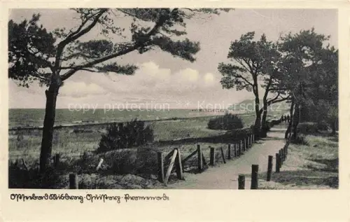 AK / Ansichtskarte MISDROY Ostseebad Miedzyzdroje PL Kueste Promenade Duenen Kiefern Ostsee Seebruecke Weg