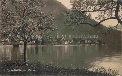 AK / Ansichtskarte Vitznau Witznau Vierwaldstaettersee LU Vierwaldstaettersee See Dorf Ufer Baeume Berge Kirche