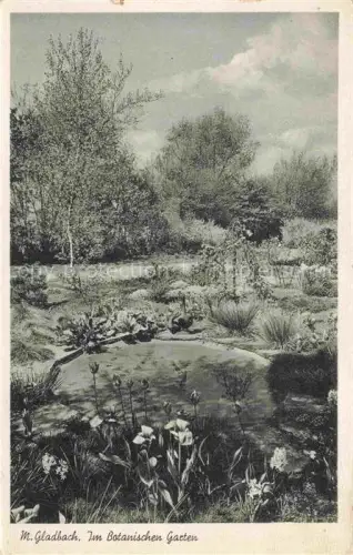 AK / Ansichtskarte M Gladbach MoeNCHENGLADBACH NRW Botanischer-Garten Teich Blumen Baeume Park Iris Narzissen