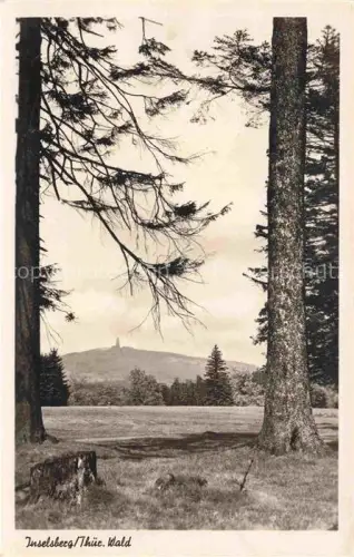 AK / Ansichtskarte Inselsberg Schmalkalden Thueringen Inselsberg Thueringer-Wald Nadelwald Gipfel Aussichtsturm Wiese Baeume