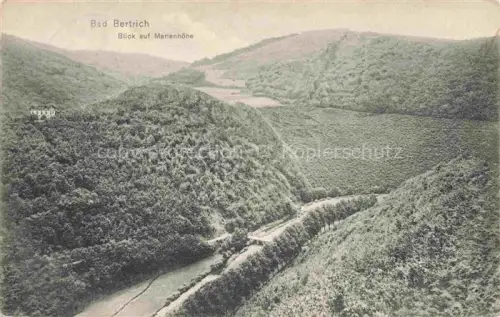 AK / Ansichtskarte Bad Bertrich Rheinland-Pfalz Marienhoehe Tal Waldlandschaft Huegel Flusstal Villa