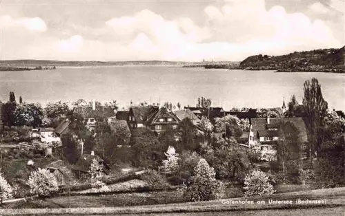 AK / Ansichtskarte Gaienhofen KONSTANZ Bodensee BW Untersee Bodensee Ortschaft Wohnhaeuser Baeume See