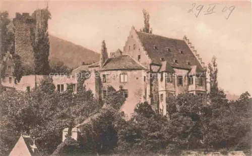 AK / Ansichtskarte MILTENBERG Main Alte-Burg Burgturm Fachwerk Baeume Baudenkmaeler Burg