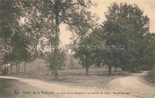 AK / Ansichtskarte Vallee de la Molignee Maredsous Belgie Vallée-de-la-Molignée Route Chapelle-St-Roch Moulin-Warnant Wald Baeume Strasse
