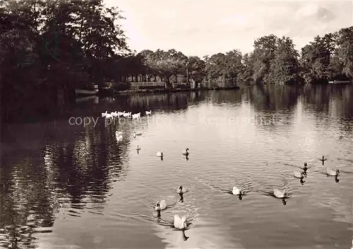 AK / Ansichtskarte BAD NAUHEIM Hessen Grosser-Teich Park See Schwaene Enten Baeume Parkanlage