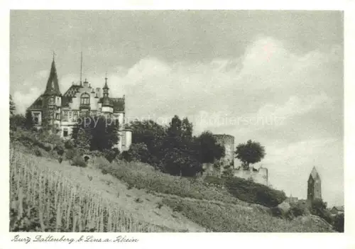 AK / Ansichtskarte Dattenberg Burg-Dattenberg Schloss Weinberg Ruine Kirchturm Huegel