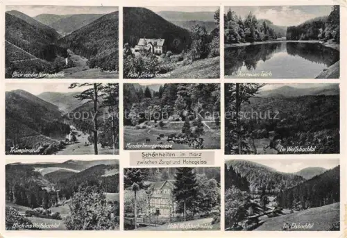 AK / Ansichtskarte Zorge Harz Wolfsbachtal Hotel-Dicke-Tannen Hotel-Wolfsbachmuehle Hundertmorgenwiese Elsbachtal Nonnenbank Teich Harz Wald