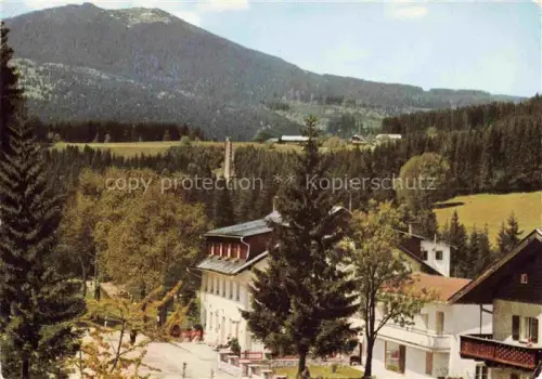 AK / Ansichtskarte Bayerisch Eisenstein REGEN Bayern Gasthaus-Neuwaldhaus Pension Bayerischer-Wald Sprungschanze Berg Tannenwald Gebirgslandschaft