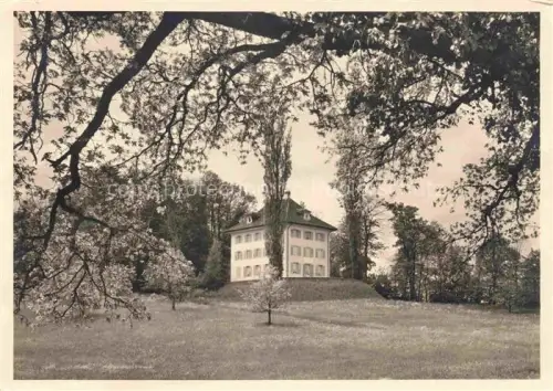 AK / Ansichtskarte Tribschen Luzern LU Richard-Wagner-Museum Tribschen Herrenhaus Park Baeume Wiese