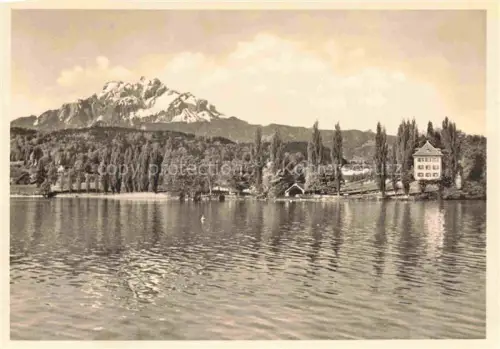 AK / Ansichtskarte Tribschen Luzern LU Richard-Wagner-Museum Tribschen Pilatus Vierwaldstaettersee Villa Pappeln Seeufer