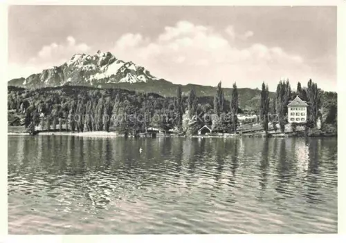 AK / Ansichtskarte Tribschen Luzern LU Richard-Wagner-Museum Tribschen Pilatus Vierwaldstaettersee Villa Pappeln Seeufer