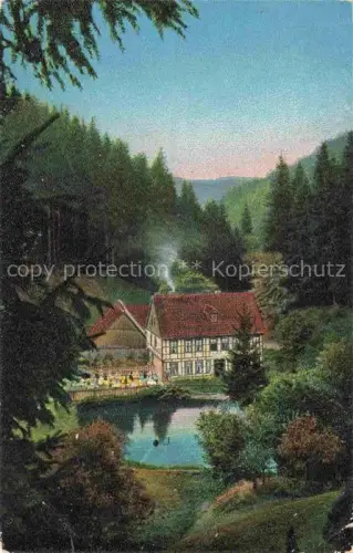AK / Ansichtskarte Hohegeiss Braunlage Harz Niedersachsen Wolfsbachmuehle Oberharz Teich Wald Fachwerkhaus Berge Pension-Ebersberg Koblenzer-Strasse