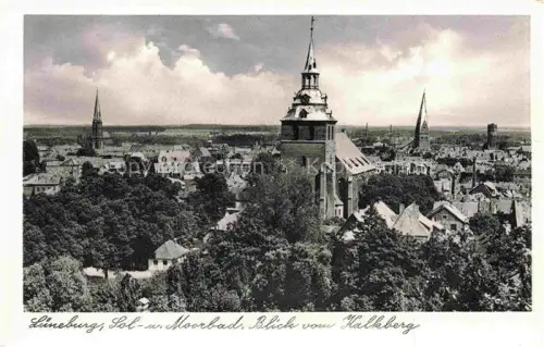 AK / Ansichtskarte LueNEBURG  CITY Sol-und-Moorbad Kalkberg Kirchturm Stadtpanorama Daecher Baeume Wolken