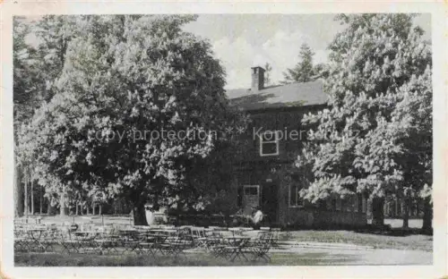 AK / Ansichtskarte Tanzbuche Friedrichroda Thueringen Waldkaffee Kastanien Biergarten Tische Stuehle Gasthaus Pirschhaus