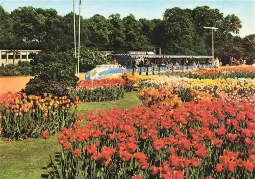 AK / Ansichtskarte IGA Gartenbauaustellung International Hamburg 1963 KleinbahnTulpen