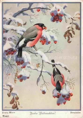 AK / Ansichtskarte MURR Franz Kuenstlerkarte 6927 Weihnachten Dompfaffen Muenchen 