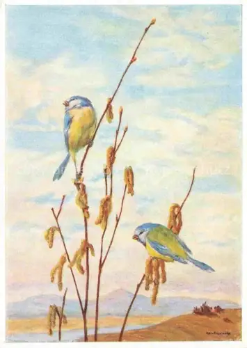 AK / Ansichtskarte SCHoeNERMARK M. Kuenstlerkarte Schoen ist die Welt Nr. 14024 Muenchen Vogel
