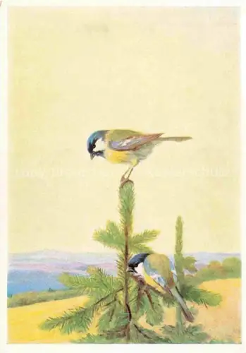 AK / Ansichtskarte SCHoeNERMARK M. Kuenstlerkarte Fruehling Nr. 14026 Muenchen 
