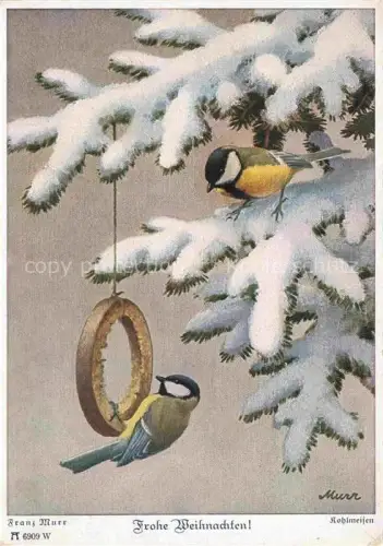 AK / Ansichtskarte MURR Franz Kuenstlerkarte 6909 W Kohlmeisen Weihnachten Muenchen 