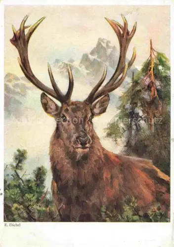 AK / Ansichtskarte DICHTL E. Kuenstlerkarte 1605 Hirsch Emil Koehn Muenchen 