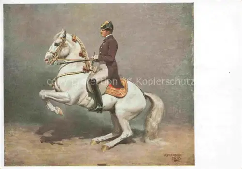 AK / Ansichtskarte POCK Alexander Kuenstlerkarte Levade Spanische Reitschule Wien Vienna Pferd 