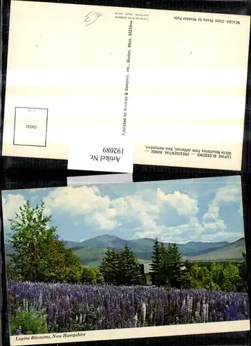192089,New Hampshire White Mountains from Jefferson Lupine Blossoms Partie