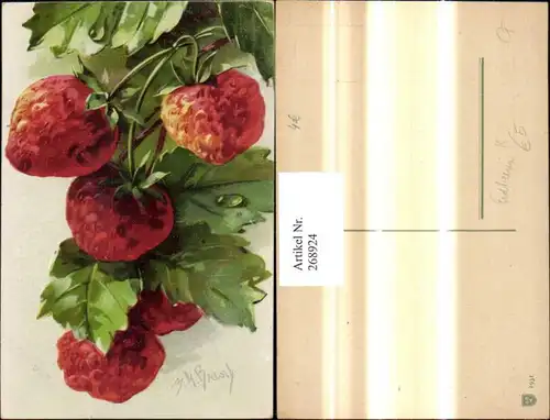 268924,Künstler Ak M. M. Brasch Erdbeeren Fürchte Obst 