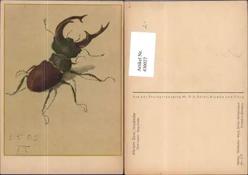 430027,Künstler Ak Albrecht Dürer Hirschkäfer Insekten Tiere 
