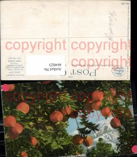 464023,Oranges and Snow a Midwinter Scene in California USA Orangen Früchte Obst