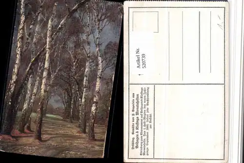 520739,Künstler AK F. Bayerlein Frühling Landschaft Birken Bäume
