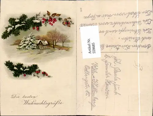 559685,Weihnachten Haus Winterlandschaft Tannenzweig Beeren