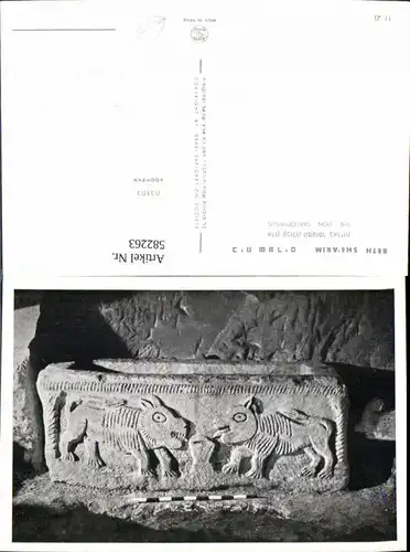 582263,Bet Sche’arim Israel Beth Shearim The Lion Sarcophagus Sarkophag