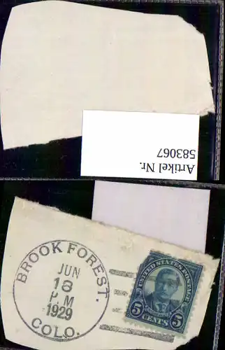 583067,Briefmarke Stamp 1929 Brook Forest Colorado