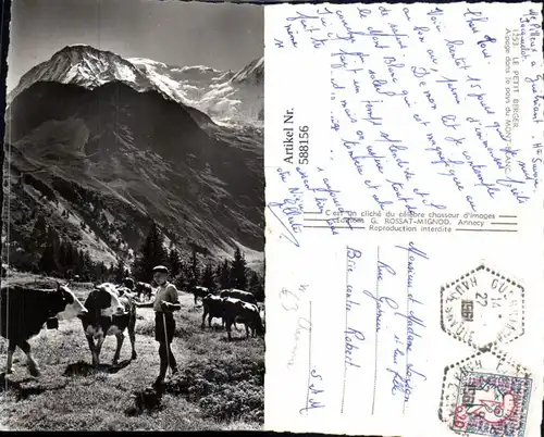 588156,Foto Ak Le Petit Berger Alpage dans le pays du Mont Blanc Chamonix Rinder Kühe Hirte France