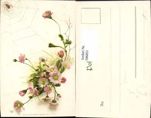 596851,Gänseblümchen m. Spinne Spinnennetz Netz Tiere Blumen pub Edgar Schmidt 7012