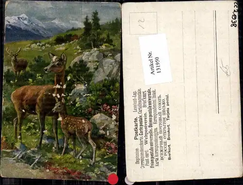 131950,Jagd Jäger Rehe Wild Hirsch in den Bergen Künstlerkarte Kitz Rehkitz 