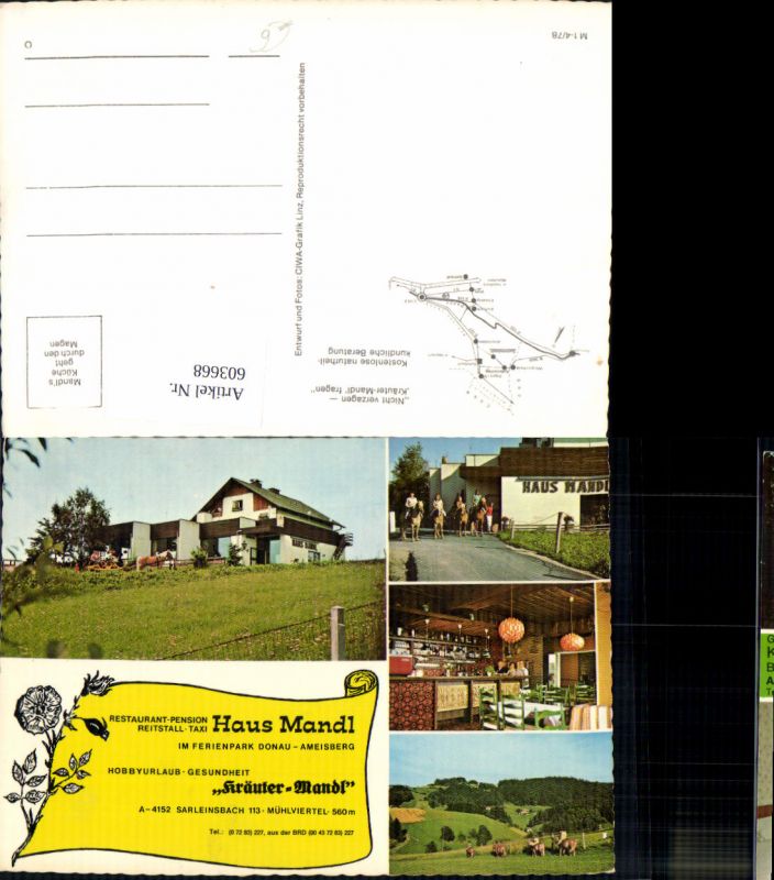 603668 Mehrbild Ak Sarleinsbach Haus Mandl Reiten Pferde Nr