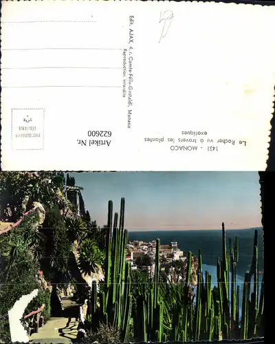 622600,Foto Ak Monaco Le Rocher vu a travers les plantes exotiques Kaktus Kakteen