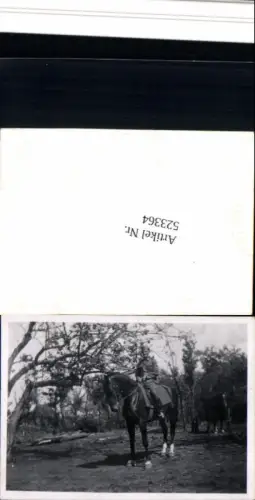 523364,Foto WW2 Wehrmacht Soldat Pferd Uniform